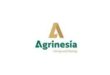 Gaji PT Agrinesia Raya