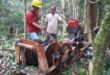 Gaji PT Belayan River Timber