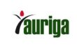 Gaji PT Auriga Land