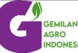 Gaji PT Gemilang Agro Indonesia